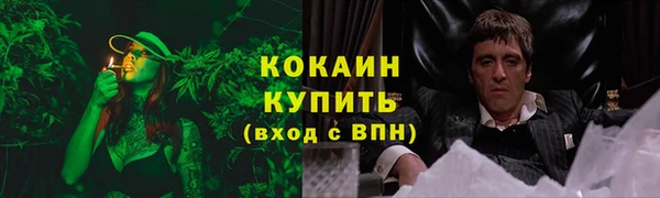 шишки Абинск